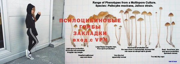 MDMA Premium VHQ Армянск